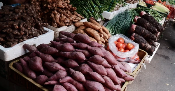 Guide to Successful Market Entry Strategy for Sweet Potato in European Union