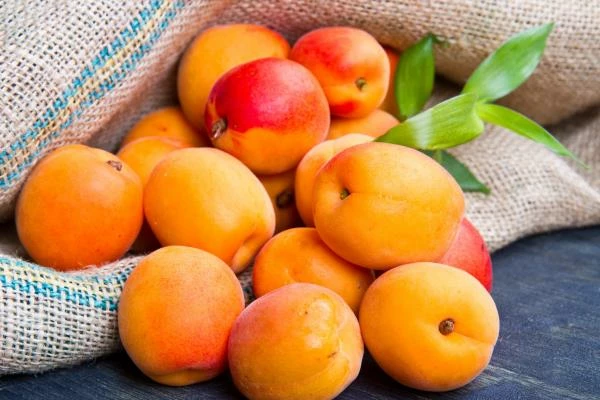 Qatar's Apricot Import Drops Slightly to $154K in September 2023