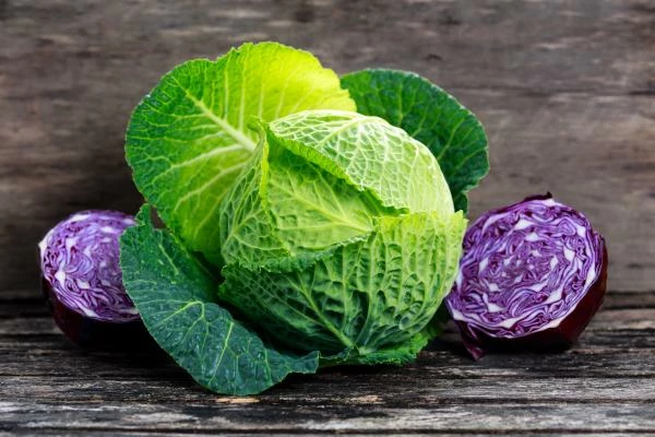Spain's August 2023 Cabbage Exports Plummet to $659K