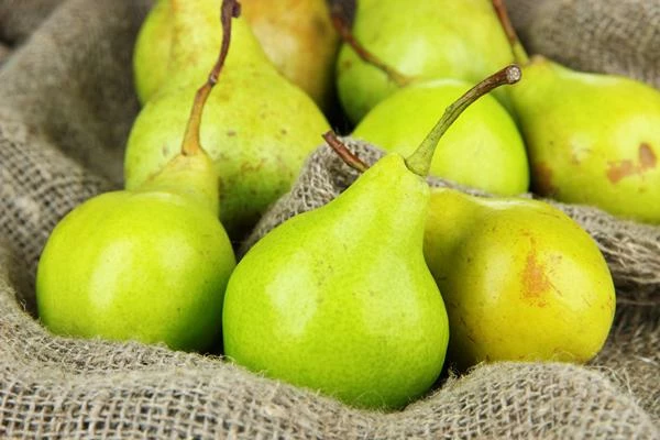 Indian Pear Market Reached 325K Tons in 2015