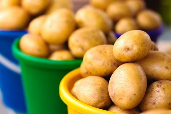 Best Import Markets for Potato: Key Statistics and Trends